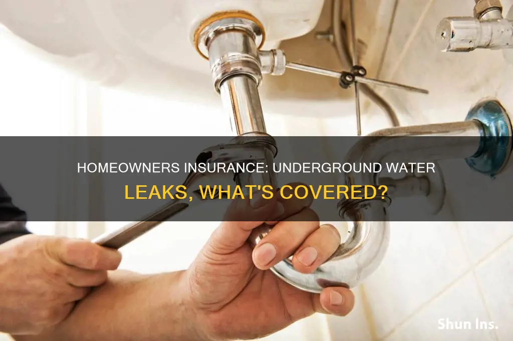 does homeowners insurance cover underground water leaks woolworths