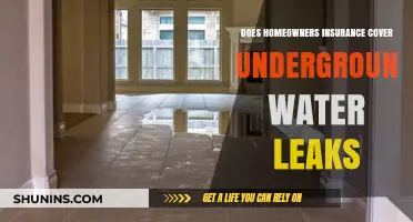 Homeowners Insurance: Underground Water Leaks Covered?