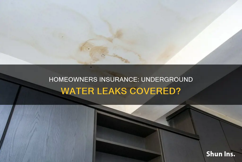 does homeowners insurance cover underground water leaks