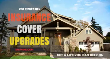 Upgrades Covered by Homeowners Insurance: What You Need to Know