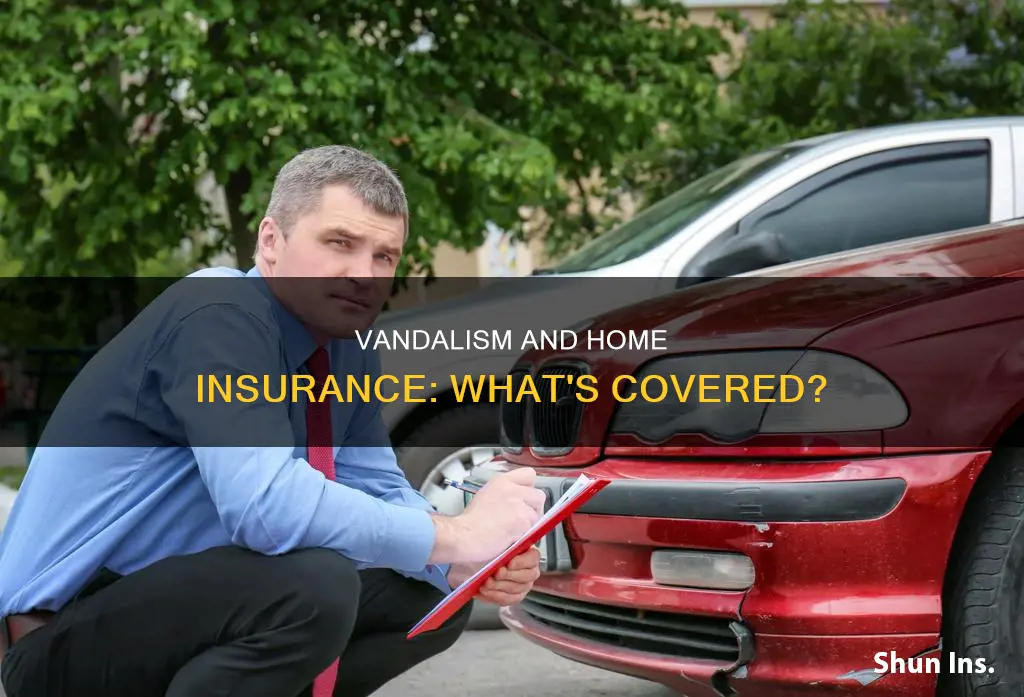 does homeowners insurance cover vandalism
