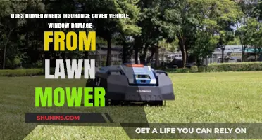Home Insurance: Lawn Mower Damage to Car Windows Covered?