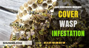 Homeowners Insurance: Wasp Infestation Covered?