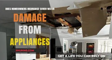 Home Insurance: Appliance Water Damage Covered?