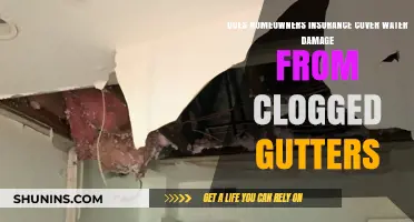 Homeowners Insurance: Gutter Clogs and Water Damage Covered?