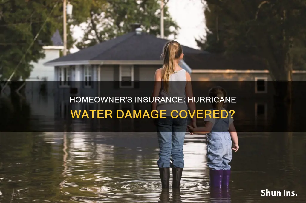 does homeowner