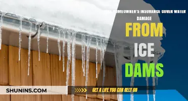 Homeowner's Insurance: Ice Dams and Water Damage Covered?