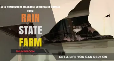 Home Insurance: Rain Damage Covered?