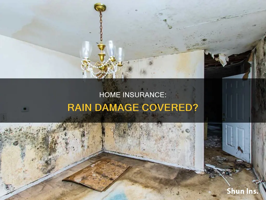 does homeowners insurance cover water damage from rain state farm