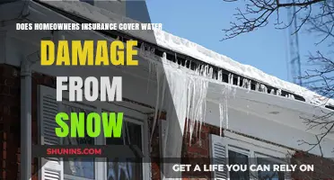 Home Insurance: Snow and Water Damage Covered?