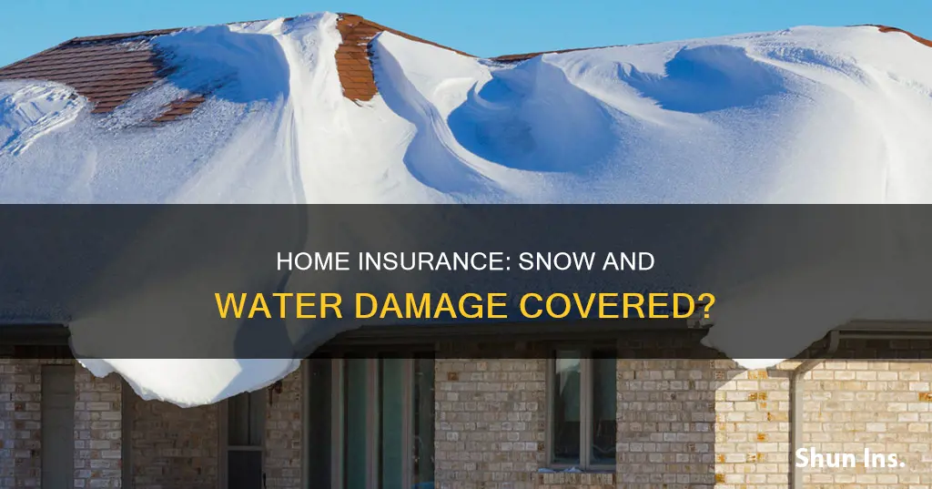 does homeowners insurance cover water damage from snow