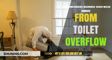 Home Insurance: Overflow Coverage for Water Damage?