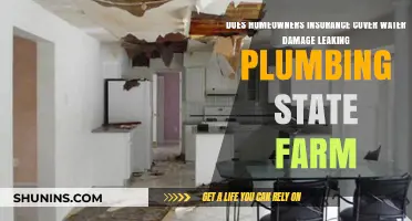 Homeowners Insurance: Leaky Plumbing and Water Damage Claims