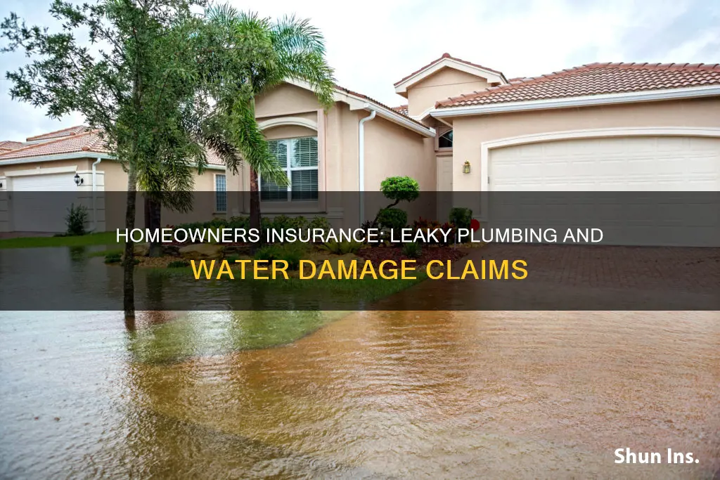 does homeowners insurance cover water damage leaking plumbing state farm