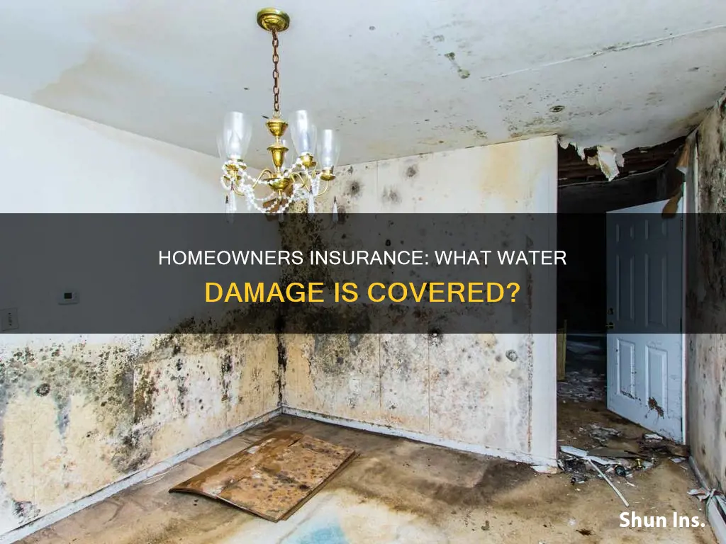 does homeowners insurance cover water damage to ceiling