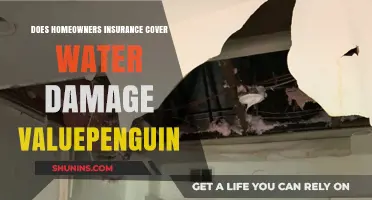 Home Insurance: Does Water Damage Get Covered?