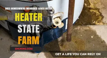 Homeowners Insurance: Water Heater Coverage with State Farm