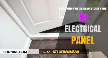 Homeowners Insurance: Water Damage in Electrical Panels Covered?