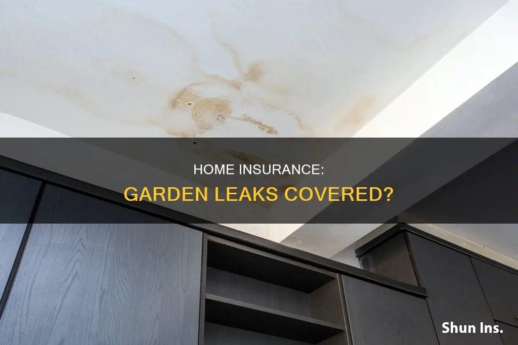 does homeowners insurance cover water leaks under garden