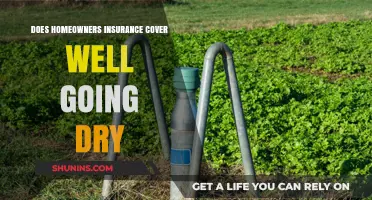 Homeowners Insurance: Dry Well Coverage?