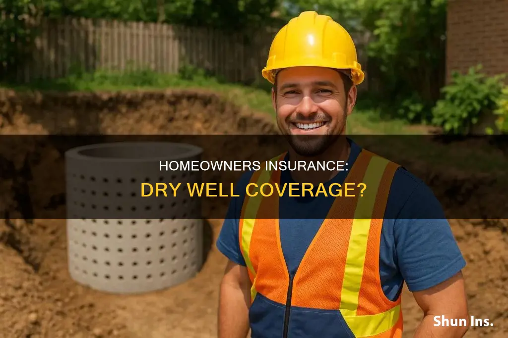 does homeowners insurance cover well going dry