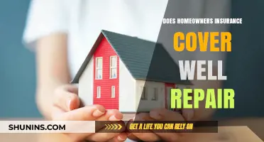 Homeowners Insurance: Well Repair Coverage Explained