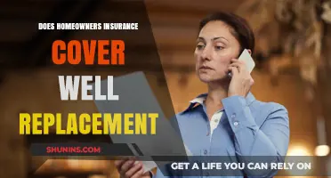 Homeowners Insurance: Well Replacement Coverage?