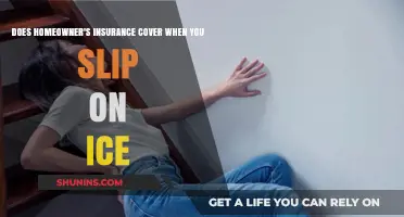 Homeowner's Insurance: Slip on Ice Covered?