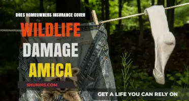 Homeowners Insurance: Wildlife Damage Covered by Amica?