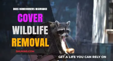 Homeowners Insurance: Wildlife Removal Covered?
