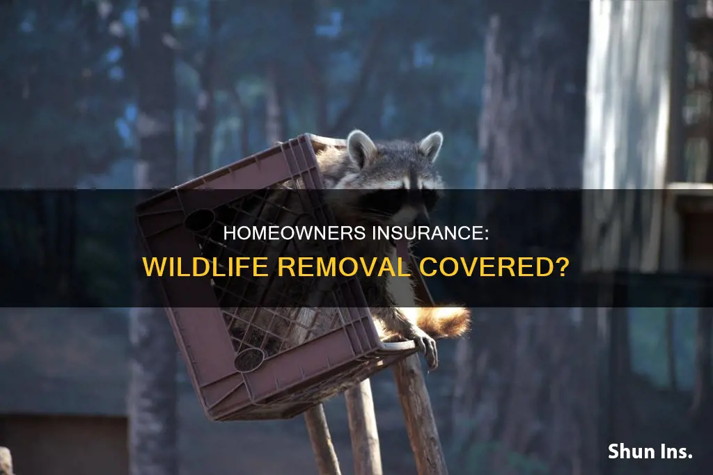 does homeowners insurance cover wildlife removal