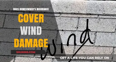 Homeowner's Insurance: Does Wind Damage Fall Under Coverage?