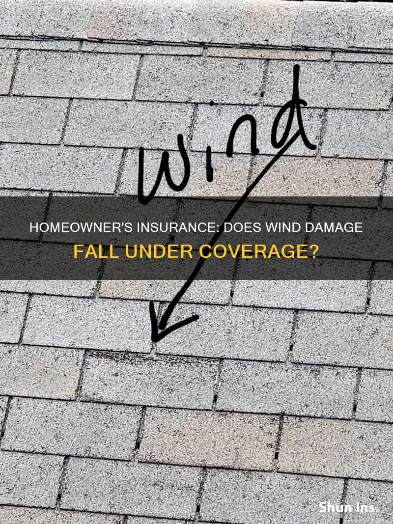does homeowner