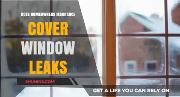 Homeowners Insurance: Does It Cover Window Leaks?