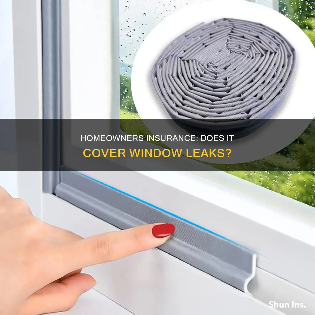 does homeowners insurance cover window leaks