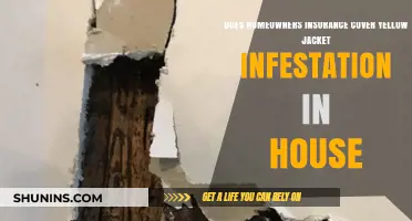 Home Insurance: Yellow Jacket Infestation Covered?