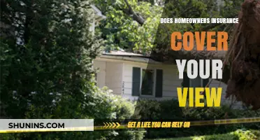 Protecting Your View: What Home Insurance Covers
