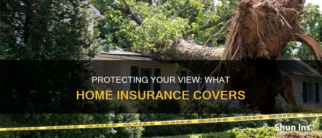 does homeowners insurance cover your view