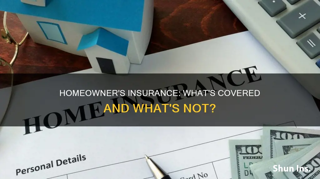 does homeowner