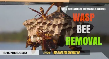 Homeowners Insurance: Wasp and Bee Removal Coverage?