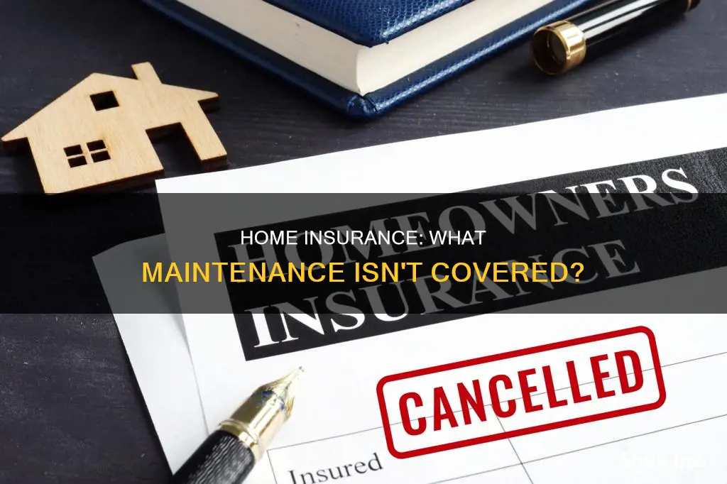 does homeowners insurance exclude maintenance