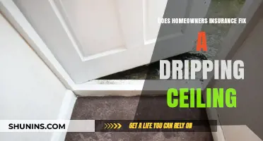 Home Insurance: What Leaky Ceiling Damage Is Covered?