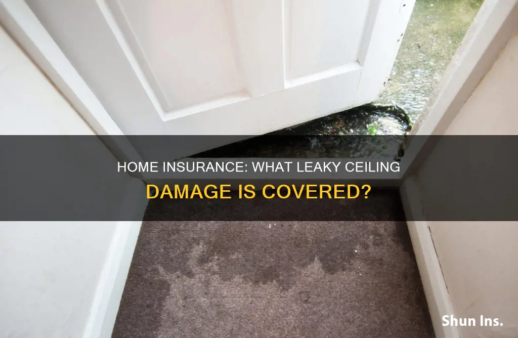 does homeowners insurance fix a dripping ceiling