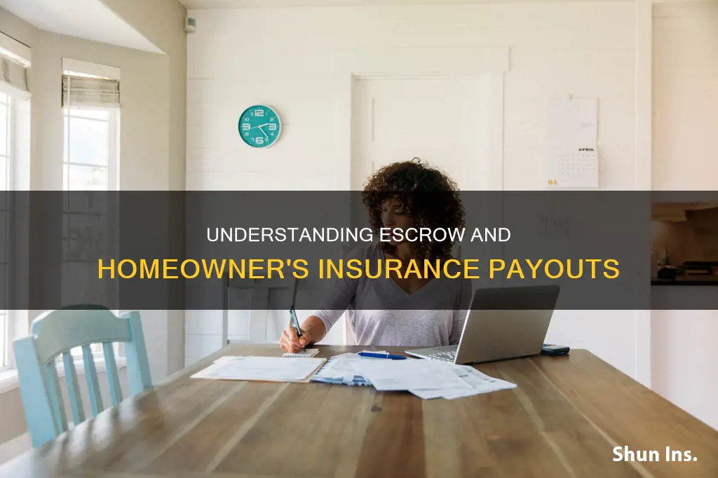 does homeowner