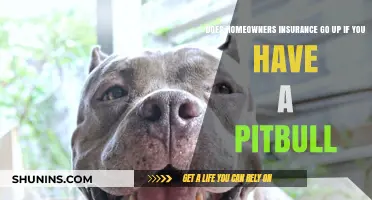 Home Insurance: Pitbulls and Premiums