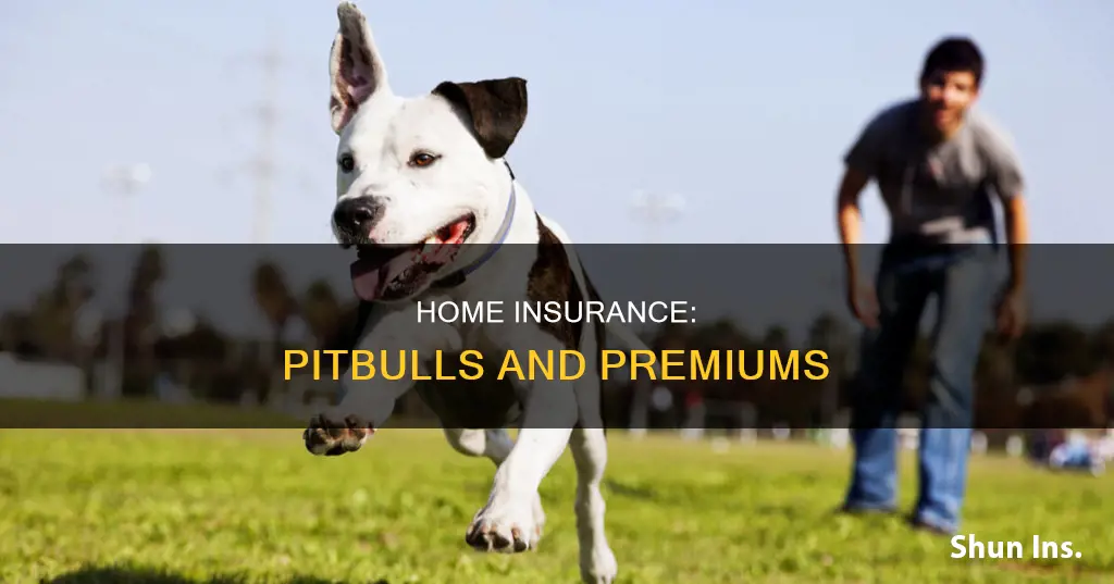 does homeowners insurance go up if you have a pitbull