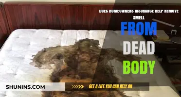 Home Insurance: Can It Help with Dead Body Odor?