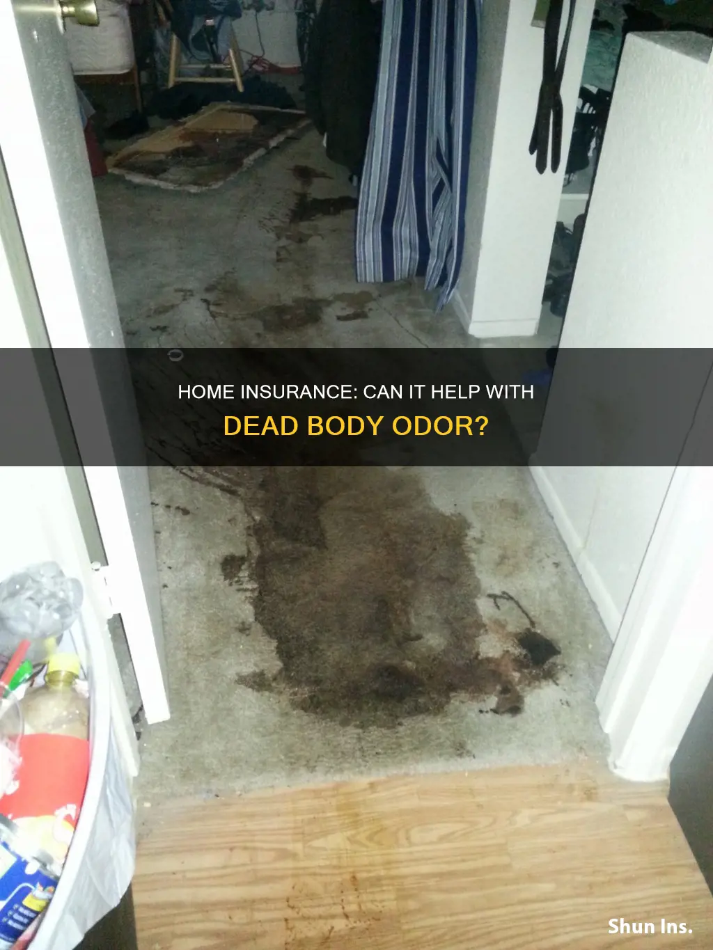 does homeowners insurance help remove smell from dead body