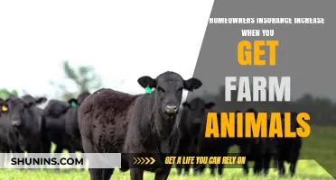 Farm Animals and Insurance: What's the Cost?