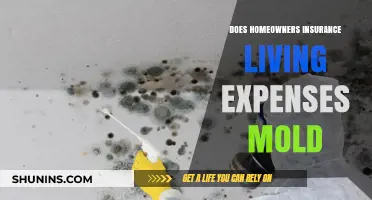 Living Expenses and Mold: What Home Insurance Covers